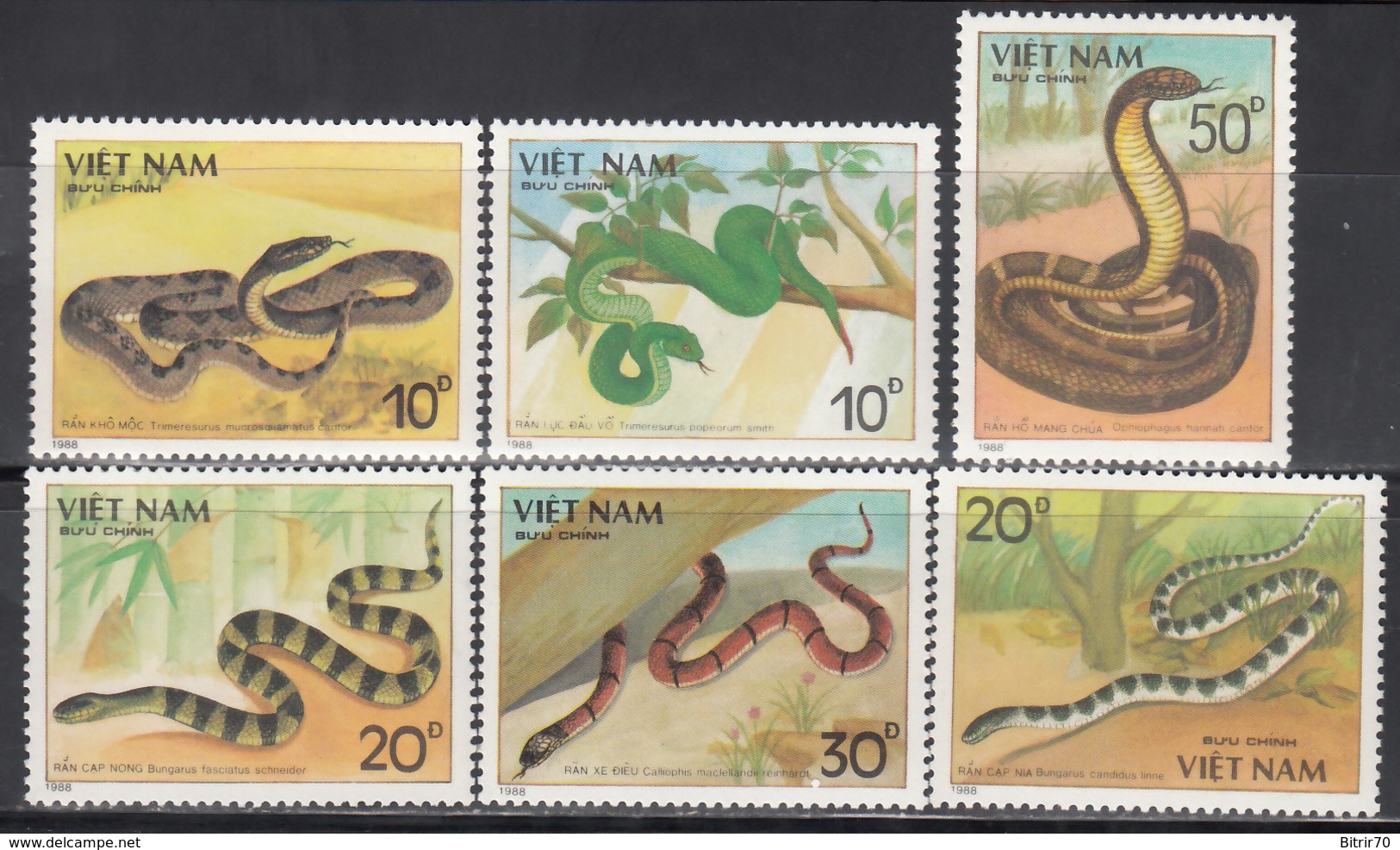 Vietnam, 1989  Yvert Nº 897 / 903  MNH, Cobra Real, Víbora Manchada Marrón, Serpiente De Coral De MacClelland , Etc. - Serpientes