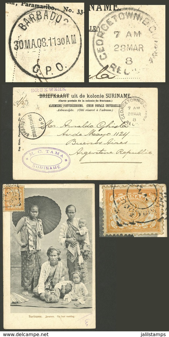 SURINAME: 27/MAR/1908 Paramaribo - Georgeteown - Barbados - Buenos Aires, Postcard With View Of Javanese Family, Franked - Suriname