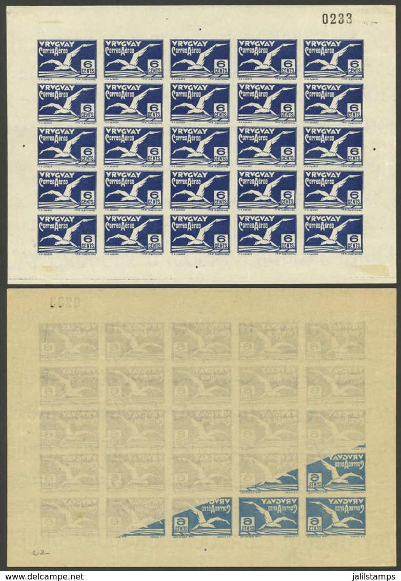 URUGUAY: Sc.C10, 1926 Albatross 6c., Complete Sheet Of 25 With VARIETY: Offset Impression On Back In One Corner, MNH (wi - Uruguay