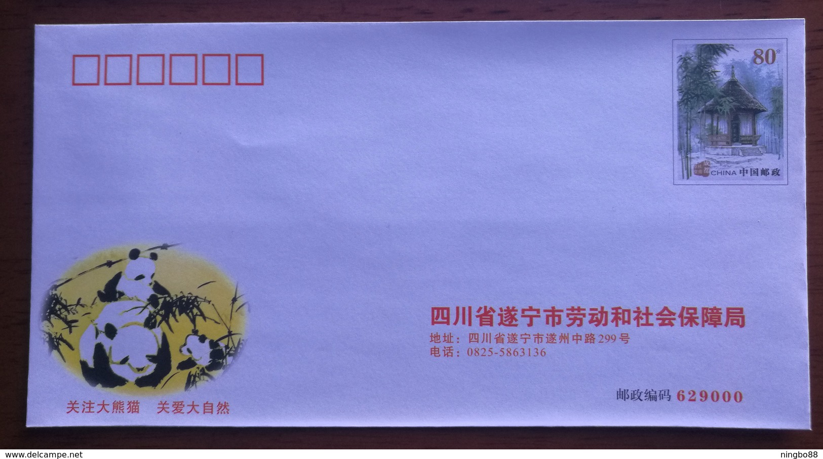 Care About Giant Panda,care Nature,China 2005 Suining Labour And Social Security Bureau Postal Stationery Envelope - Other & Unclassified