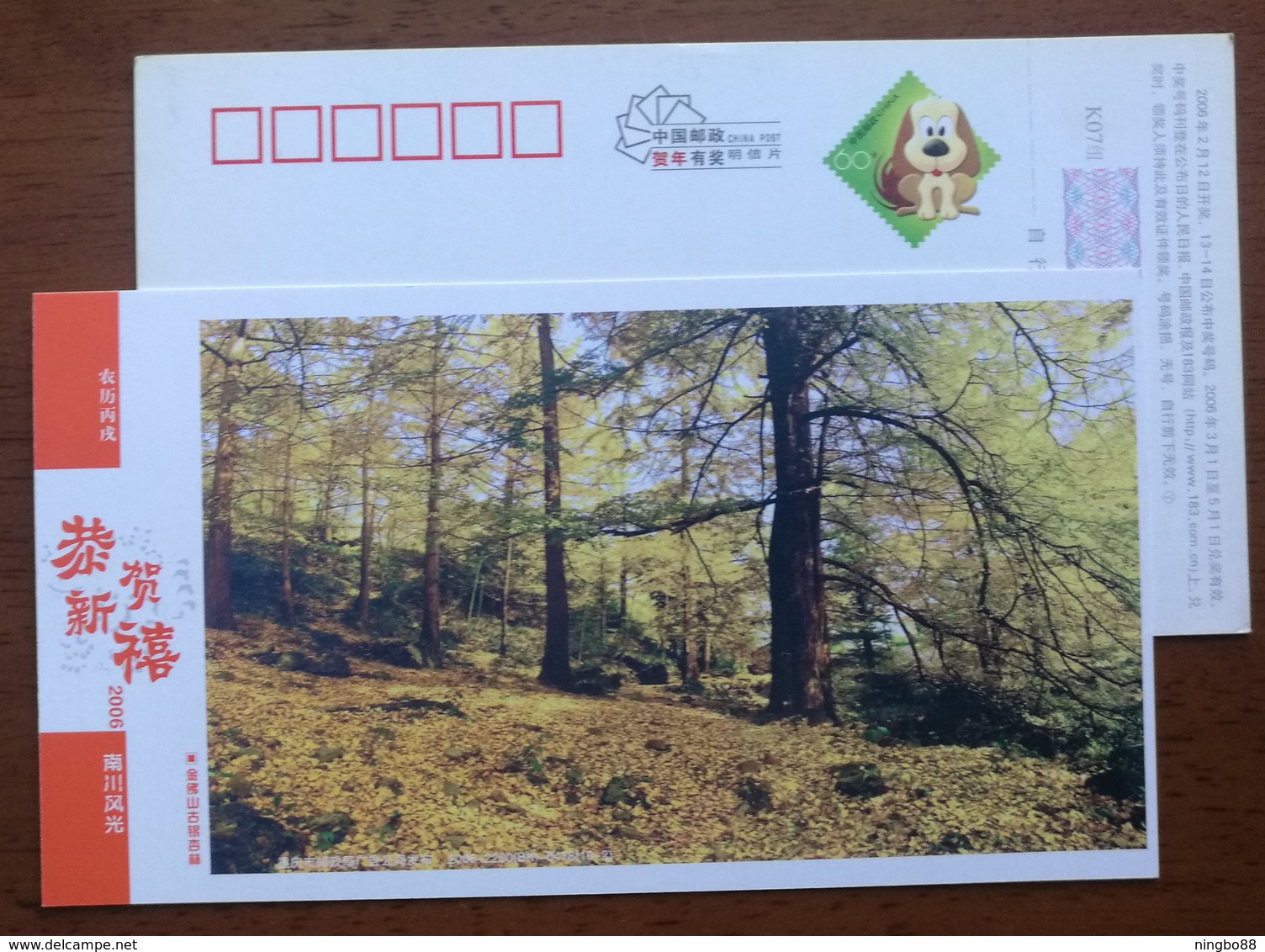 Mt.Jinfoshan Ancient Ginkgo Biloba Woods,China 2006 Chongqing Nanchuan Landscape Advertising Pre-stamped Card - Trees