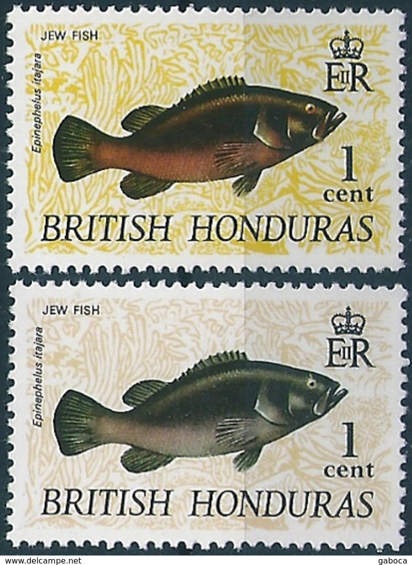 B6255 British Honduras Fauna Animal Fish ERROR - Fische