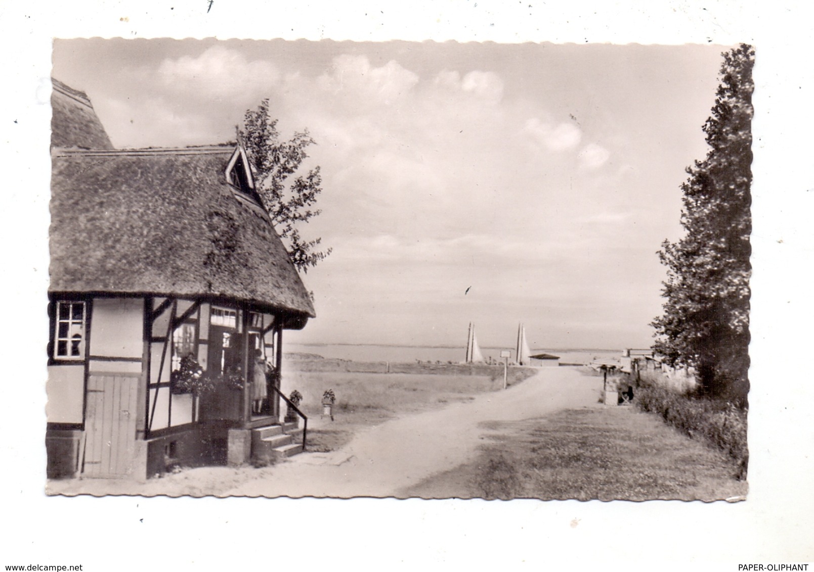 2844 LEMFÖRDE - HÜDE, Niedersachsenhaus Am Dümmersee, 1955 - Diepholz