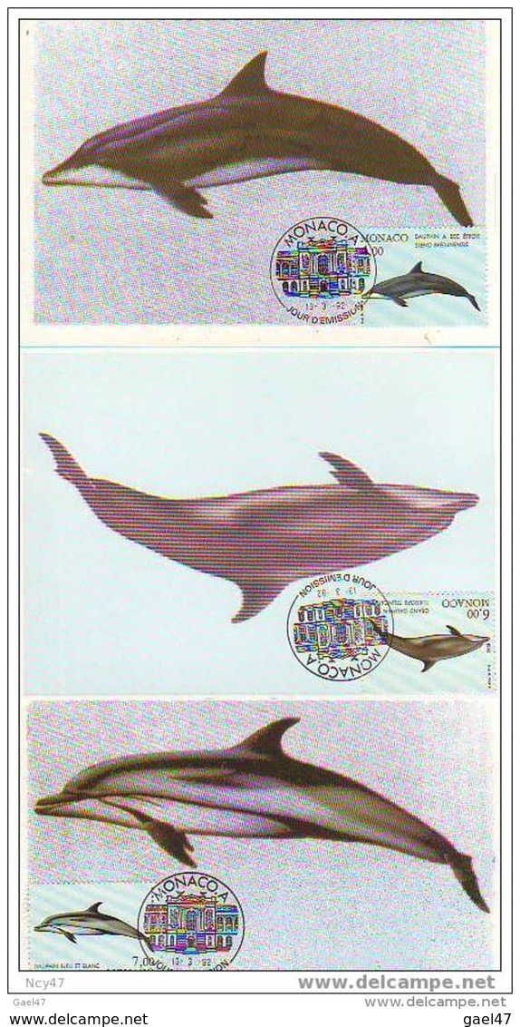 6  CP (République De Monaco )       Les Mamiféres  Marins - Dolphins