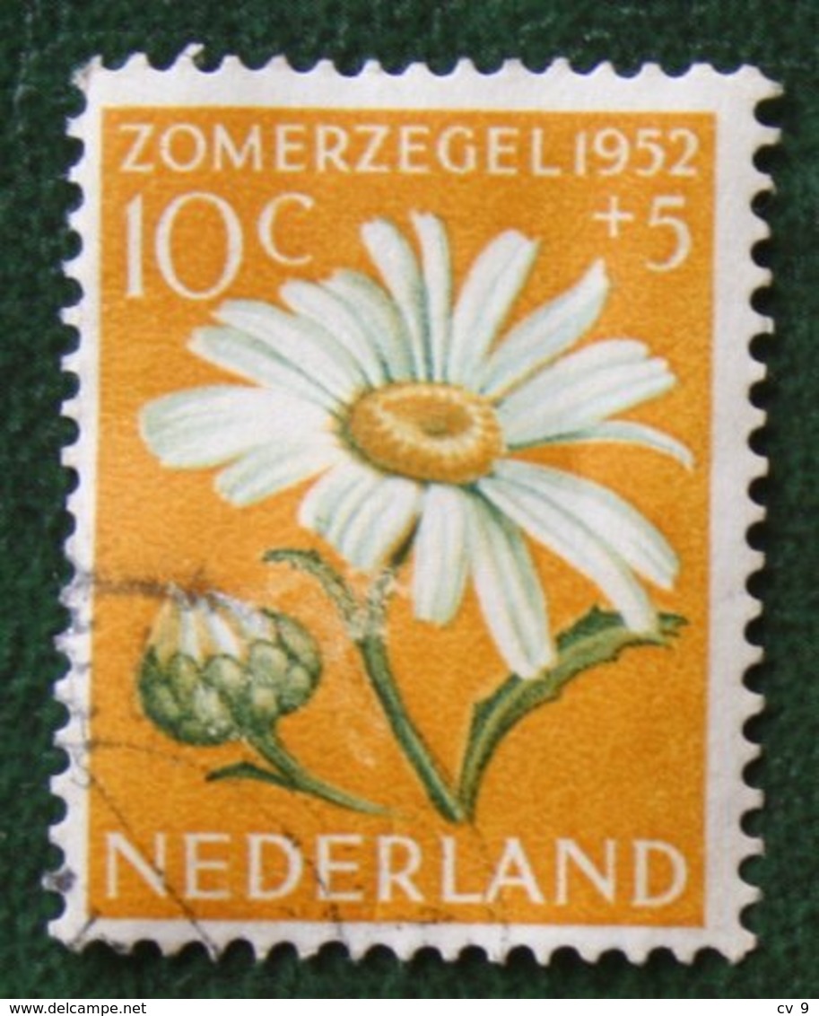 10 + 5 Ct Zomerzegel Summer Sommer Flower Blumen Fleurs NVPH 586 (Mi 591) 1952 Gestempeld / Used NEDERLAND / NIEDERLANDE - Used Stamps
