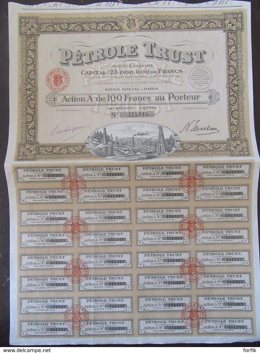 Achat Immédiat - Pétrole Trust SA - Action De 100 Francs - Complète De Ses Coupons - 31/12/1924 - Aardolie