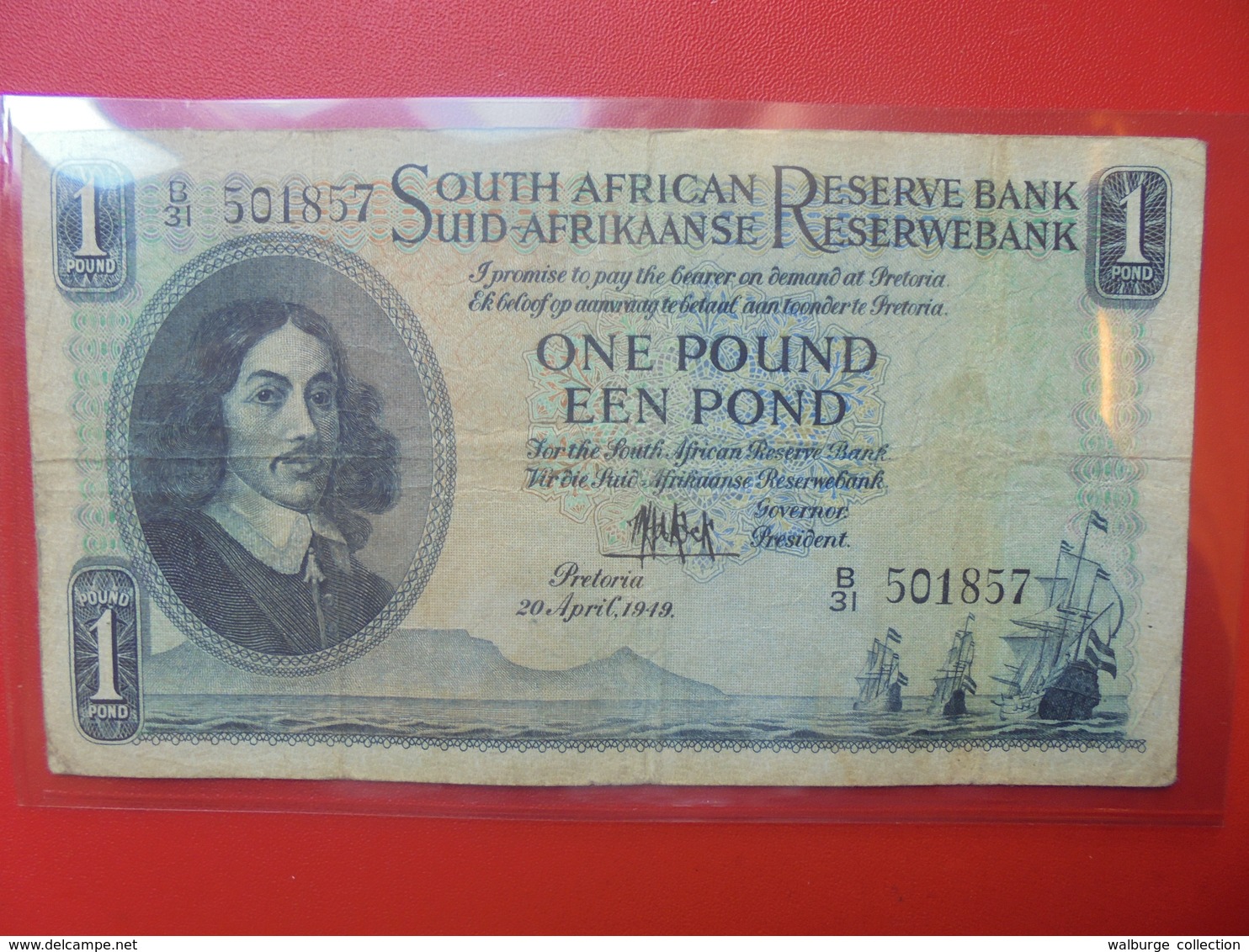 AFRIQUE Du SUD ONE POUND 1949 CIRCULER (B.6) - Afrique Du Sud