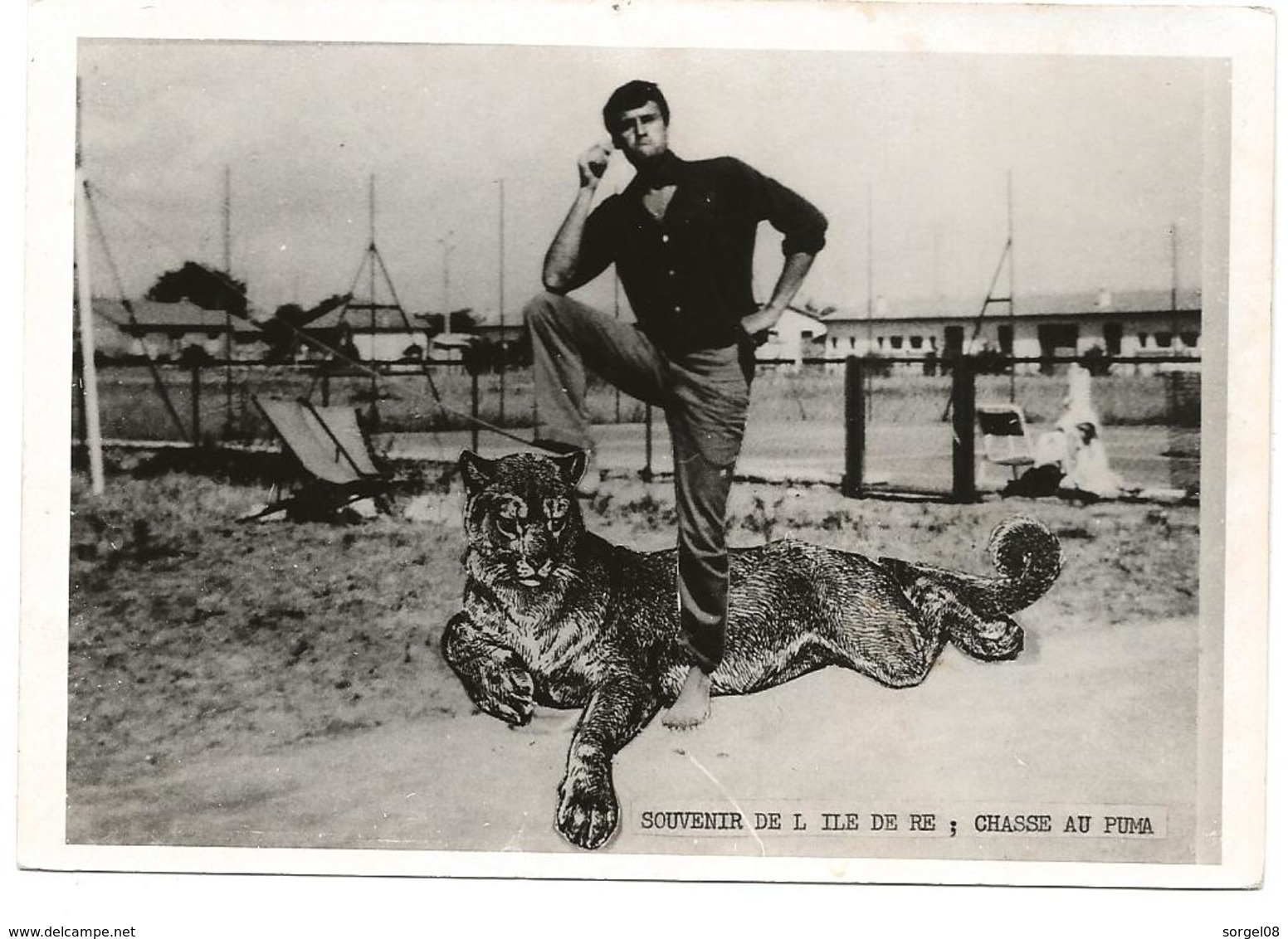 17 ILE DE RE  Photomontage Souvenir De L'île De Ré CHASSE AU PUMA - Unclassified