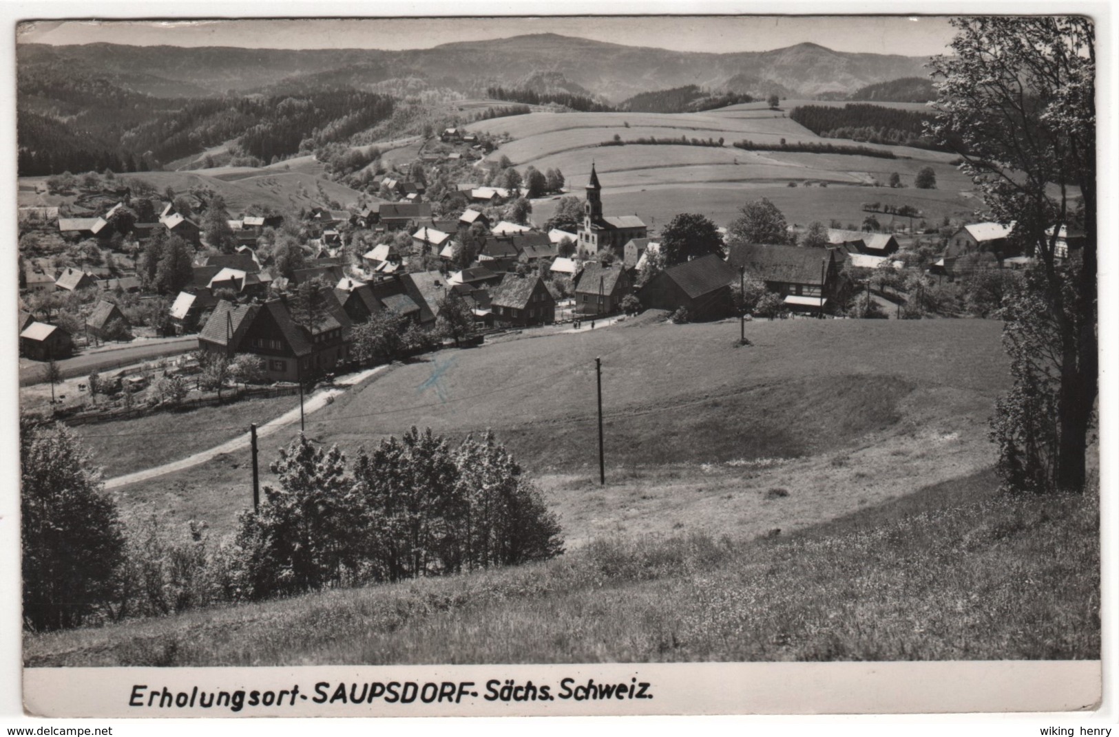 Sebnitz Saupsdorf - S/w Ortsansicht 1 - Sebnitz