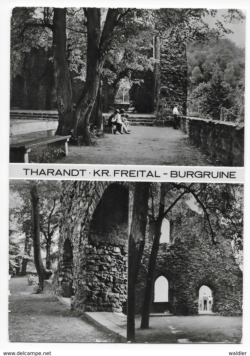 8223  THARANDT  (Kr. FREITAL)  -  BURGRUINE   1977 - Tharandt