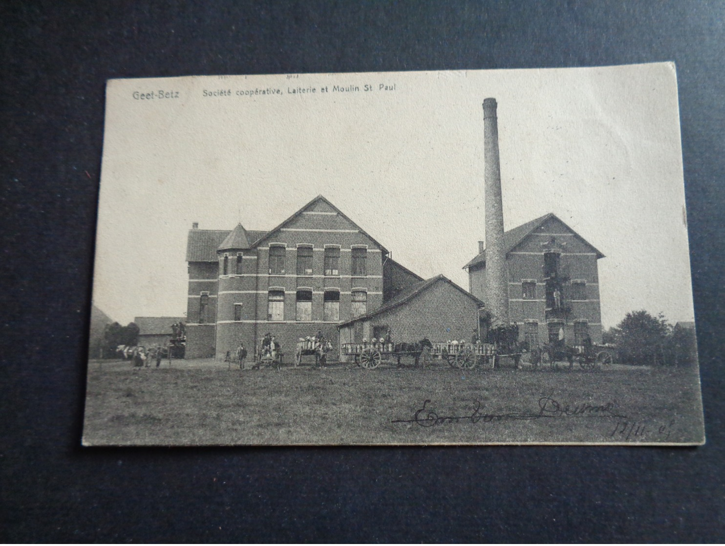 Belgique  België  ( 261 )   Geet - Betz  Geetbets  Laiterie ( Melkerij ) Et Moulin St Paul - Geetbets