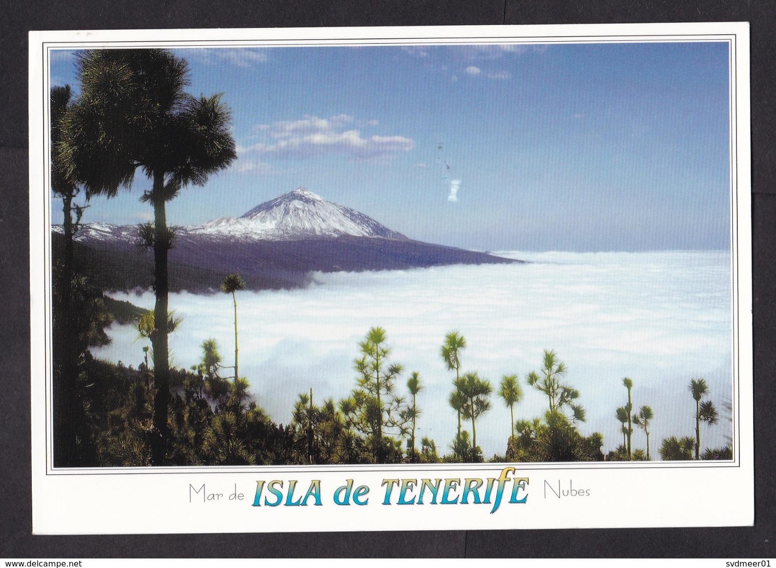 Spain: PPC Picture Postcard To Netherlands, 2011, 1 Stamp, Butterfly, Sta Cruz Tenerife, Canary Islands (traces Of Use) - Brieven En Documenten