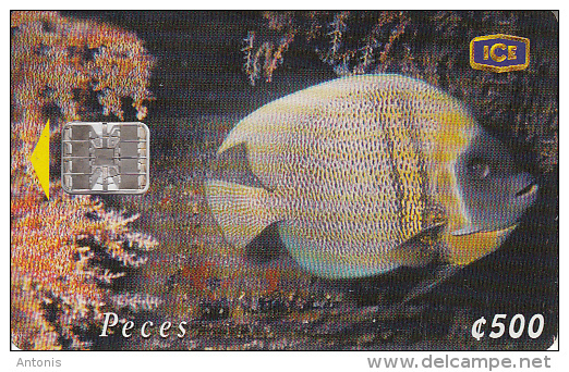 COSTA RICA - Fish, ICE Tel Telecard, CN : C03000574, 03/00, Used - Costa Rica