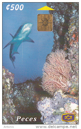 COSTA RICA - Shark, ICE Tel Telecard, 04/00, Used - Costa Rica