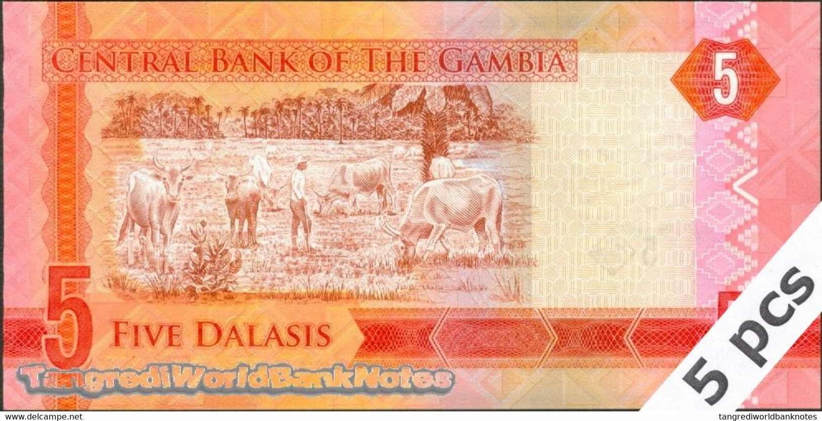 TWN - GAMBIA 31 - 5 Dalasis 2015 DEALERS LOT X 5 - Prefix B UNC - Gambia