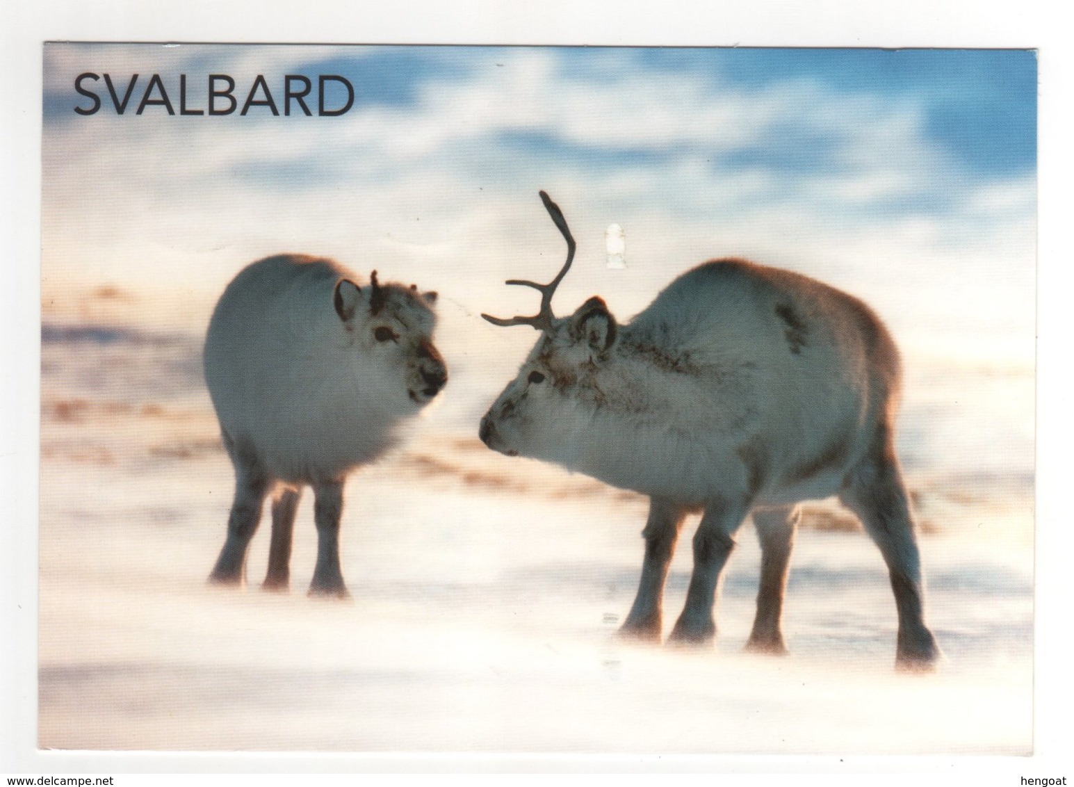Beau Timbre  " Danger , Ours Blanc " Sur CP , Carte , Postcard  " Rennes Du Svalbard "  Pour La France - Briefe U. Dokumente