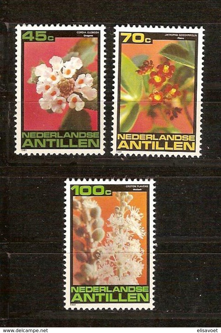 Antilles Néerlandaises Antillen 1981 Yvertn° 644-646*** MNH Cote 4,50  € Flore Fleurs Bloemen - Antilles