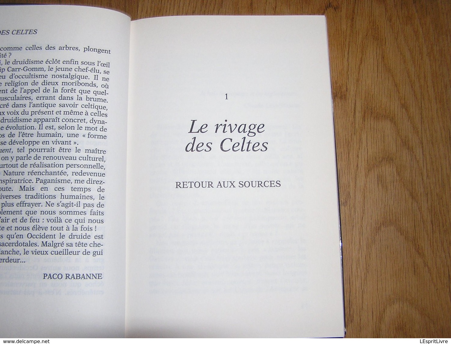 LA FORCE DES CELTES P Rabanne Histoire Celtes Druidisme Druide Romain Moyen Age Europe Gaule France - History