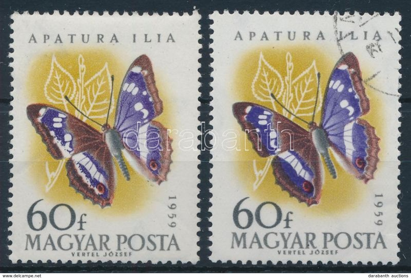 ** 1959 Lepke 60f 'kettős Fehér Csík' Lemezhiba - Altri & Non Classificati