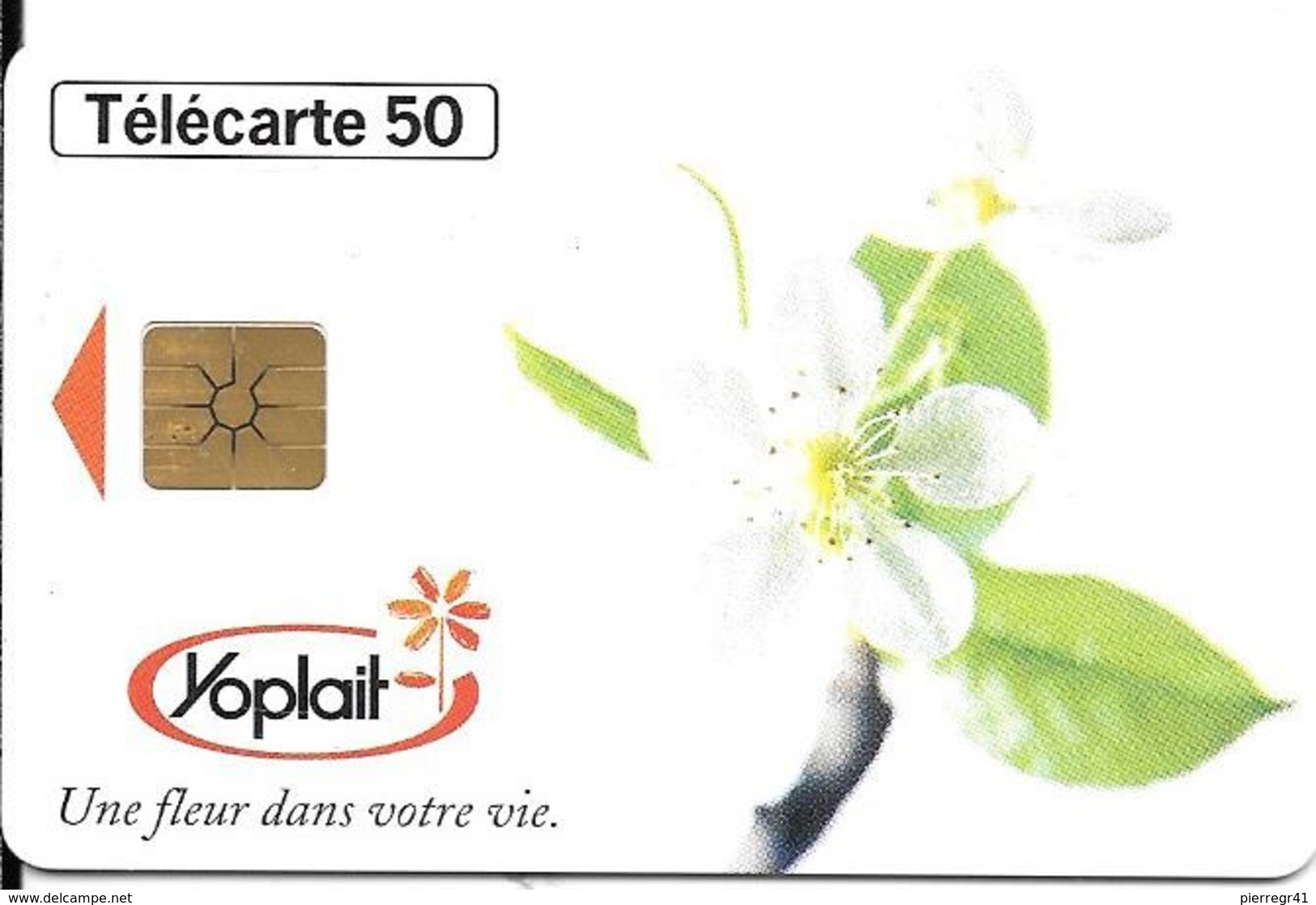 CARTE-PRIVEE-50U-EN1503-GemB-10/96-YOPLAIT-UTILISE-TBE - 50 Unità  