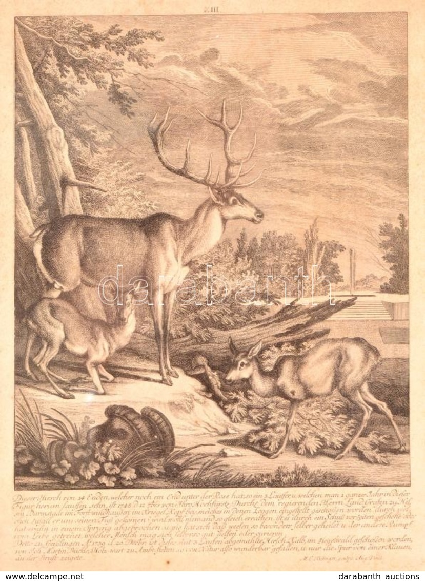 1768 Martin Elias Ridinger (1730-1781): 'Dieser Hirsch Von 14 Enden,...', Szarvasok, Rézmetszet, Papír, üvegezett Fa Ker - Prenten & Gravure