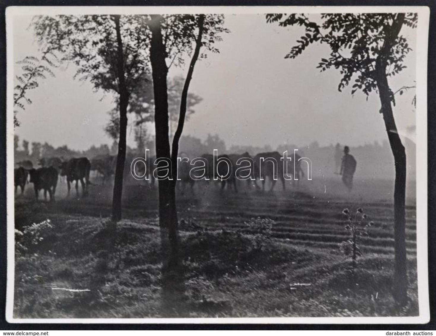 Dulovits Jenő (1903-1972): Hazafelé Pecséttel Jelzett Vintage Fotó 12x9 Cm - Altri & Non Classificati