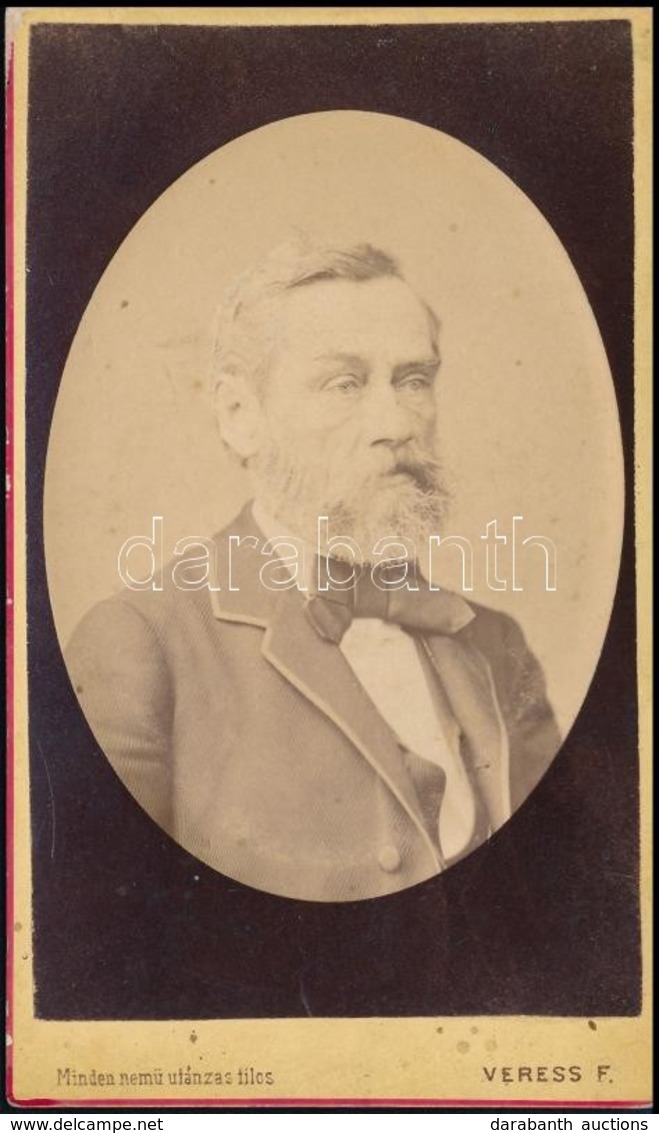 1879 Bellusich János (1823-1893) Bányatanácsos Portréja, Porcelánkép Utánzatú Keményhátú Fotó Veress Ferenc (1832-1916)  - Sonstige & Ohne Zuordnung