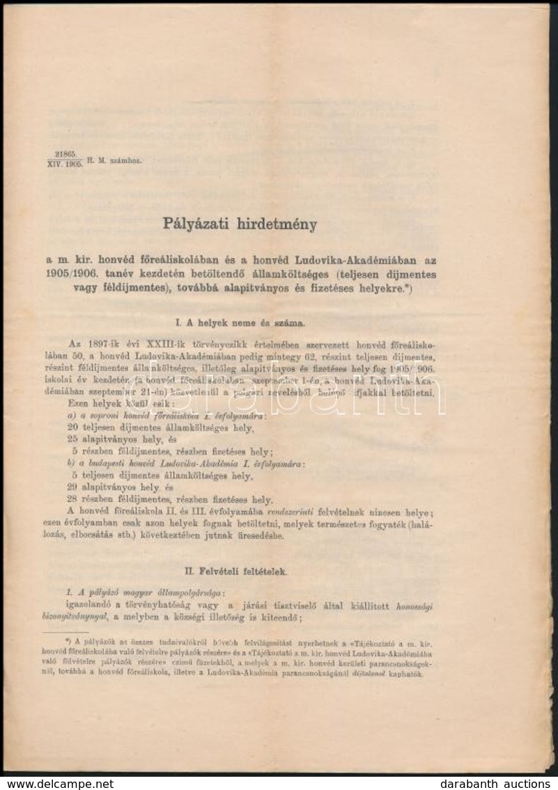 1905 Pályázat A Ludovika Akadémián állami és Fél önköltséges Helyekre Való Felvételre. 12p. - Sonstige & Ohne Zuordnung