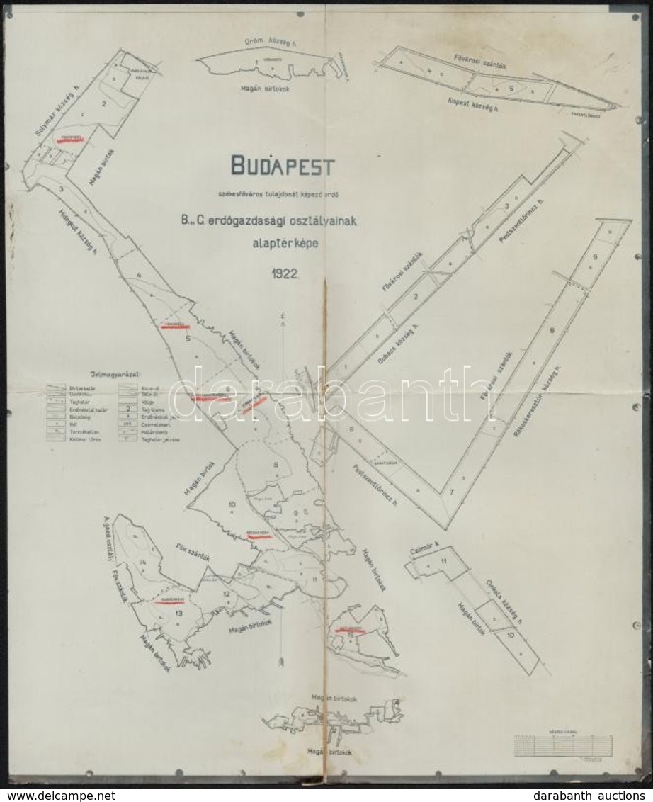 1922 Budapest B. és C. Erdőgazdasági Osztályainak Alaptérképe, A Hajtások Mentén Kis Szakadásokkal, 30×24,5 Cm - Altri & Non Classificati