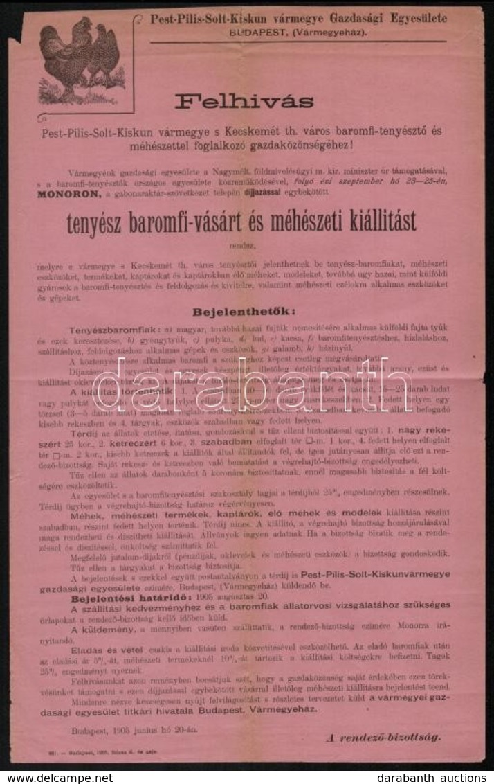 1905 Kecskemét Tenyész Baromfi Vásár és Méhészeti Kiállítás Reklám Nyomtatvány - Non Classificati