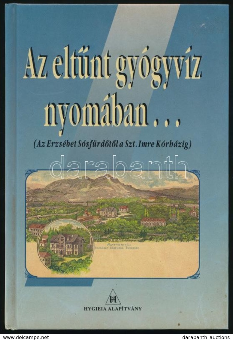 Dr. Back Frigyes: Az Eltűnt Gyógyvíz Nyomában... (Az Erzsébet Sósfürdőtől A Szt. Imre Kórházig.) Hn.,én., Hygieia Alapít - Ohne Zuordnung