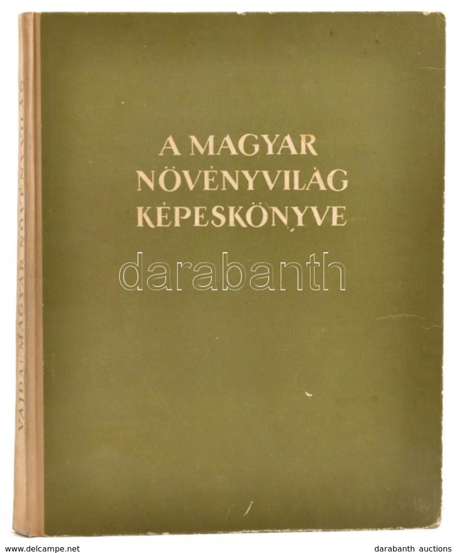 Vajda Ernő: A Magyar Növényvilág Képeskönyve. Bp.,1956, Művelt Nép. Fekete-fehér Képekkel Illusztrált. Kiadói Kissé Kopo - Non Classificati