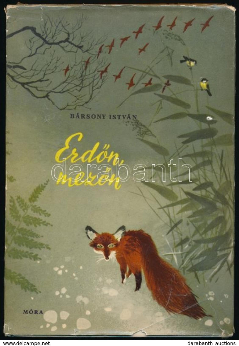 Bársony István: Erdőn, Mezőn. Vadásztörténetek. Bp.,1962, Móra. Kiadói Félvászon-kötés, Kiadói Szakadt Papír Védőborítób - Ohne Zuordnung