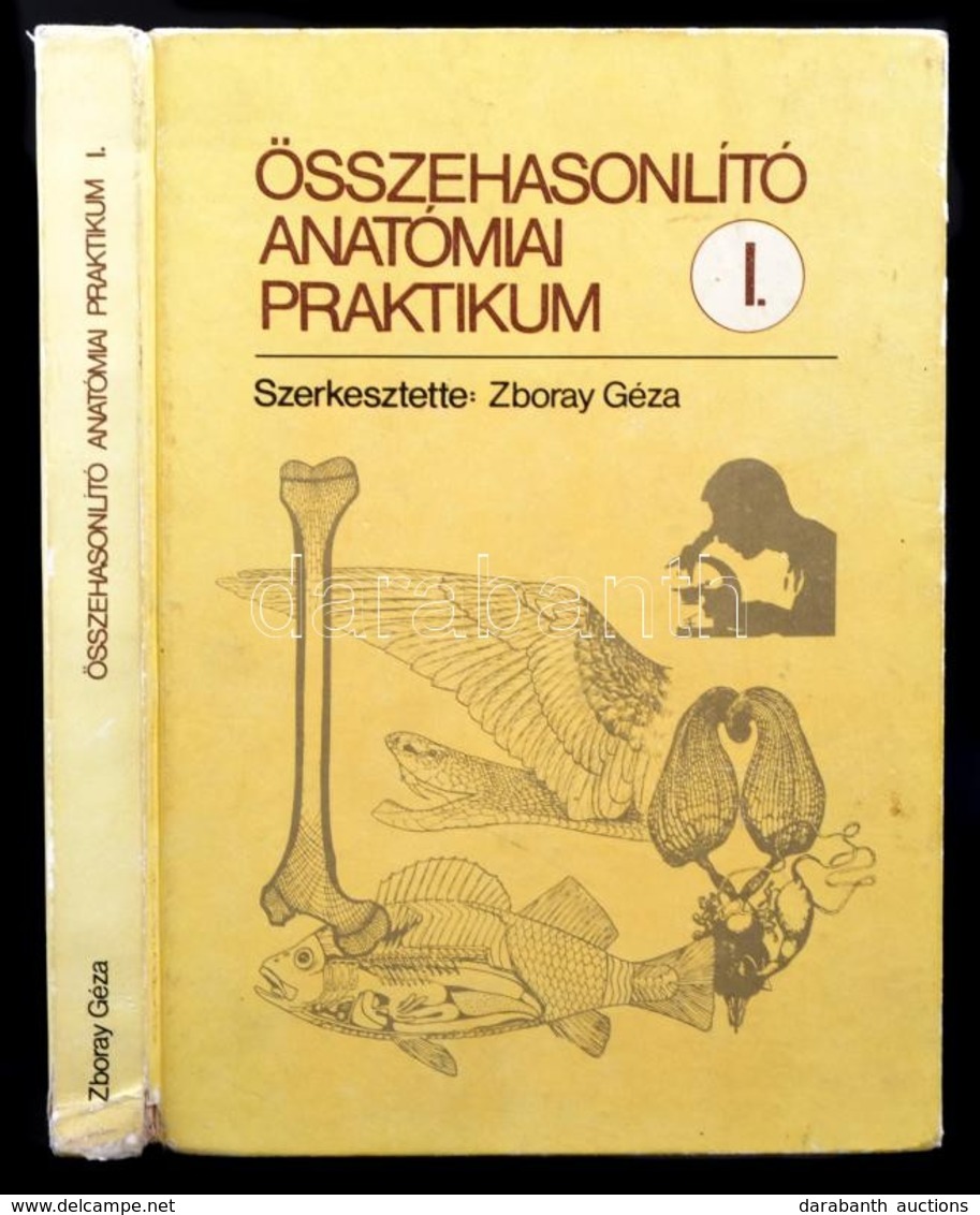 Összehasonlító Anatómiai Praktikum. I. Kötet. Szerk.: Dr. Zboray Géza. Bp.,1989, Tankönyvkiadó. Kiadói Kartonált Papírkö - Non Classificati