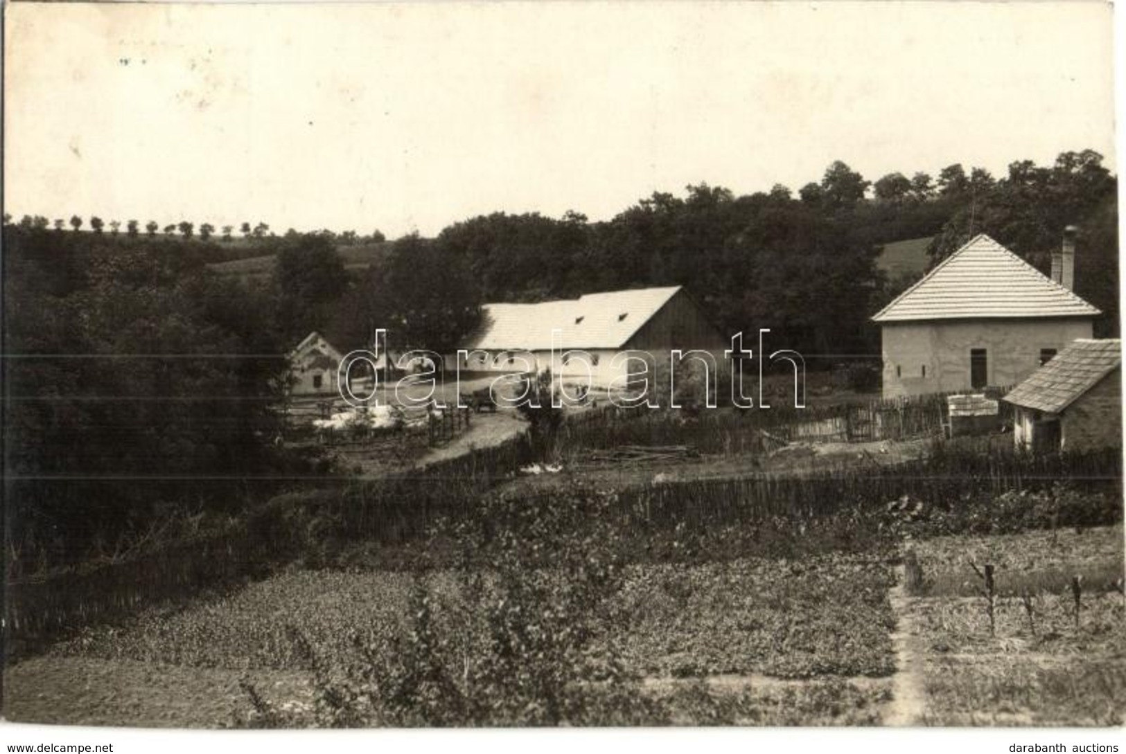 T2 Becske, Tanya Nem Messze A Kastélytól, Szarvasmarhák + 1931 Becske Postai ügynökségi Pecsét - Ohne Zuordnung