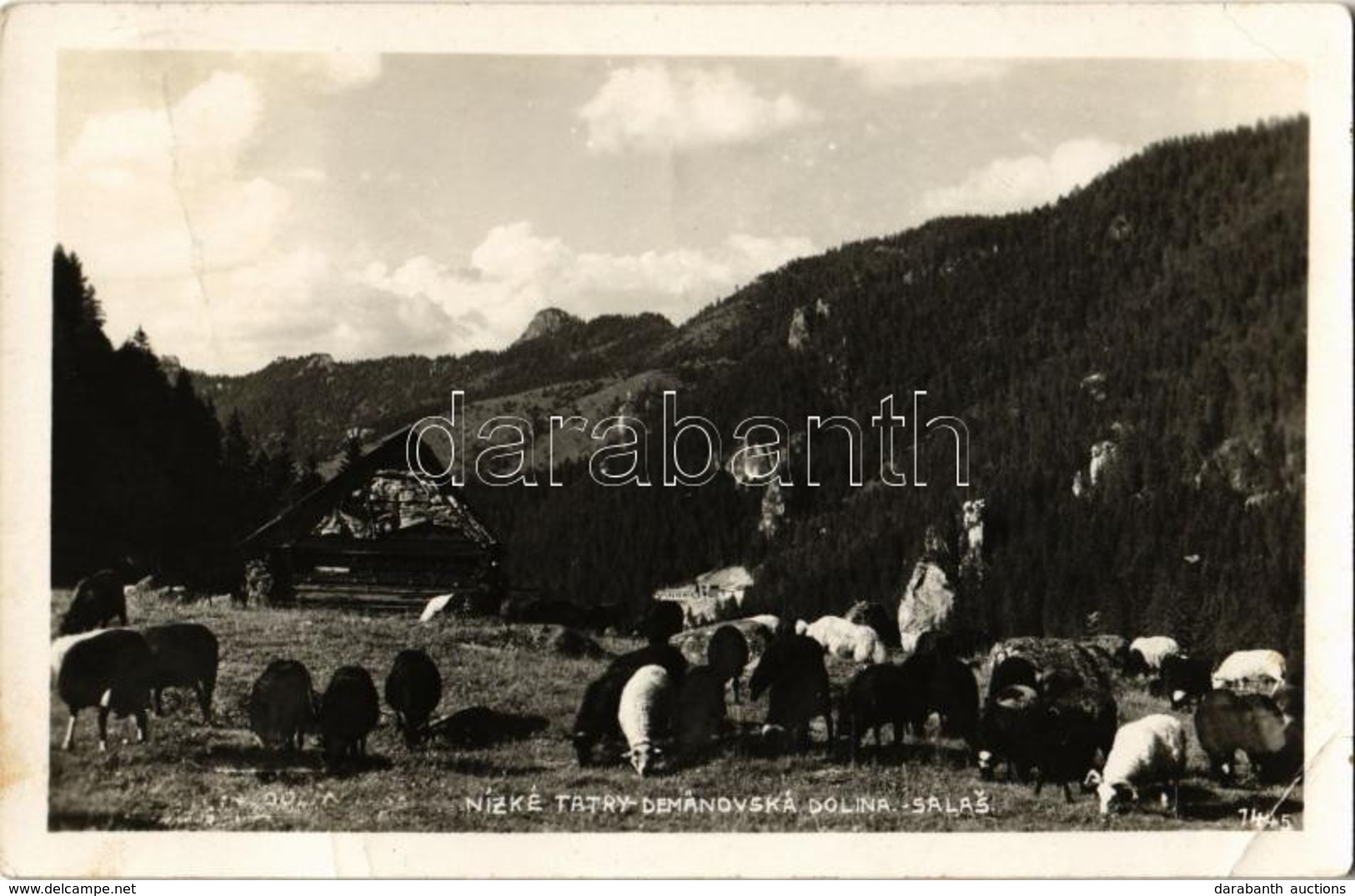 T2/T3 1940 Deménvölgy, Demanovska Dolina; Hegyi Szállás, Nyáj / Mountain Hotel, Flock Of Sheep (EK) - Non Classificati