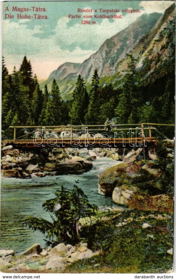 ** T2/T3 Tátra, Vysoké Tatry; Tarpatakvölgy. Divald Károly 1446-1908 / Kolbachtal / Valley - Non Classificati