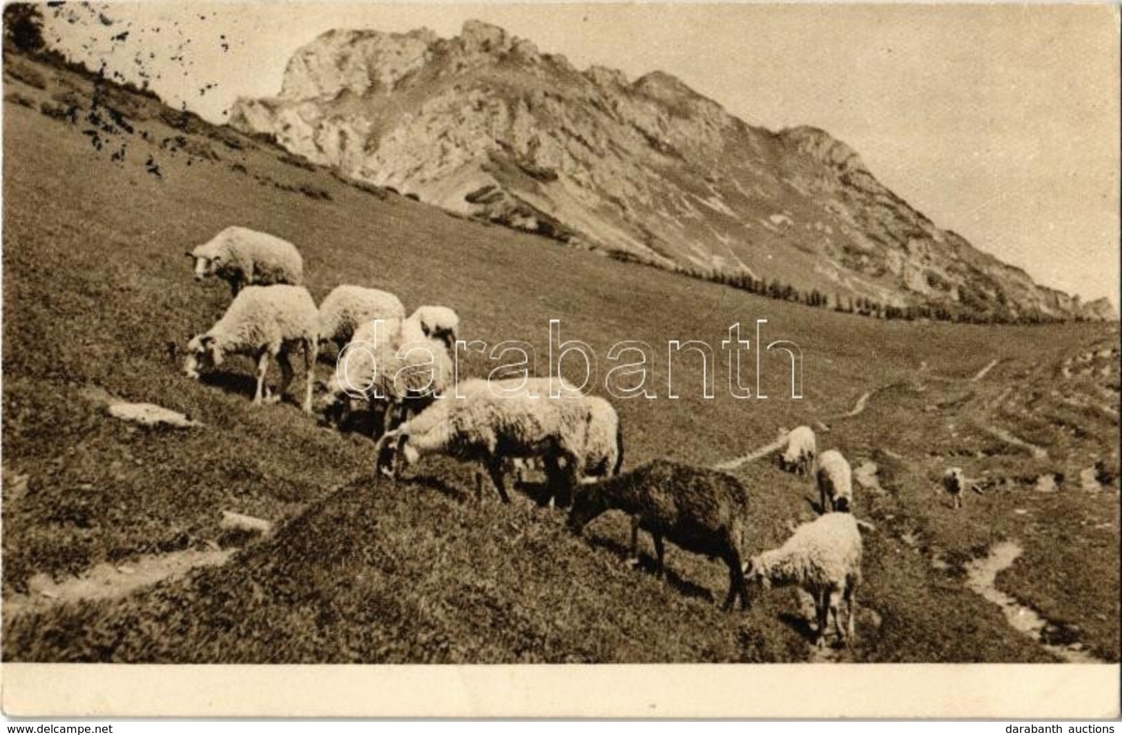 T2 Tátra, Vysoké Tatry; Legelő Juhok / Velikonocní Pozdrav! / Grazing Sheep - Non Classificati