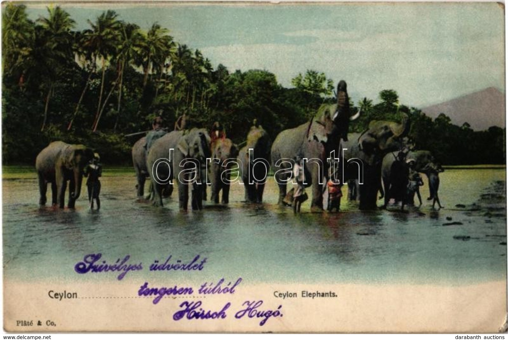 T2/T3 Ceylon, Elephants - Non Classés