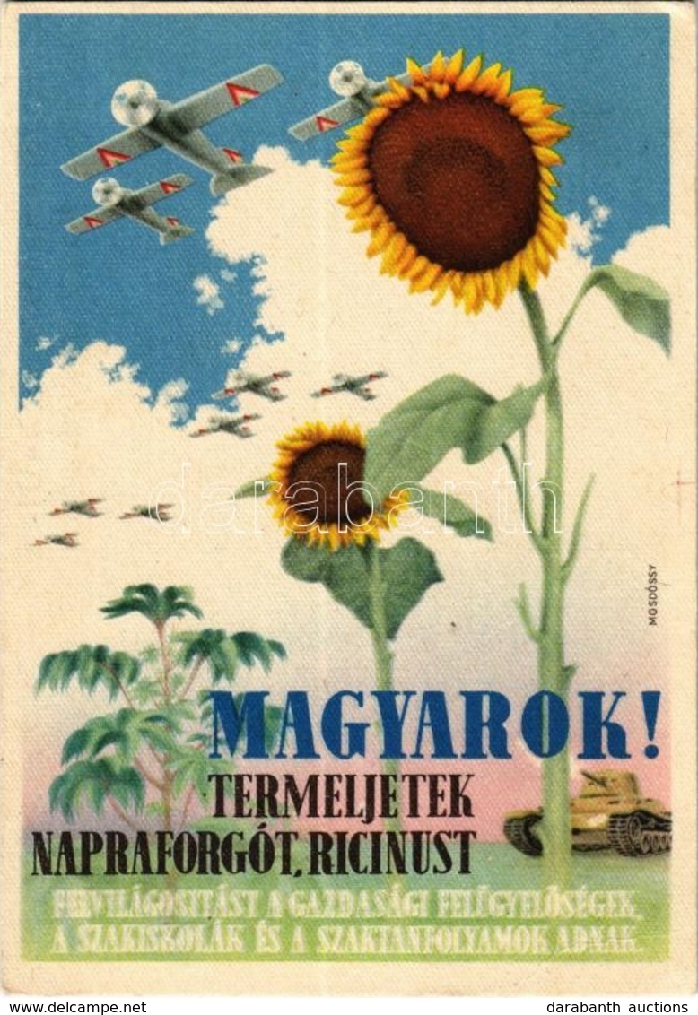 ** T2/T3 Harcigépeinknek Olaj Kell! Termeljünk Napraforgót, Ricinust / WWII Military Propaganda, Grain Oil For Military  - Non Classificati