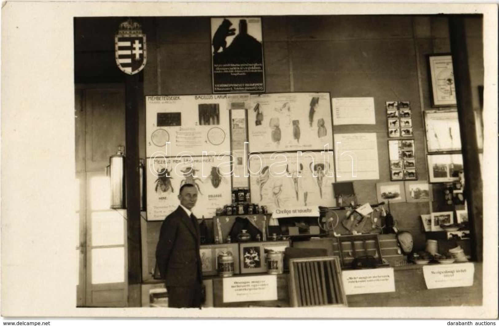 * T1/T2 1931 Ankara, Méhészeti Kiállítás Magyar Pavilonja / Hungarian Pavilion Of The Beekeeping Exhibition. Photo (Hung - Zonder Classificatie