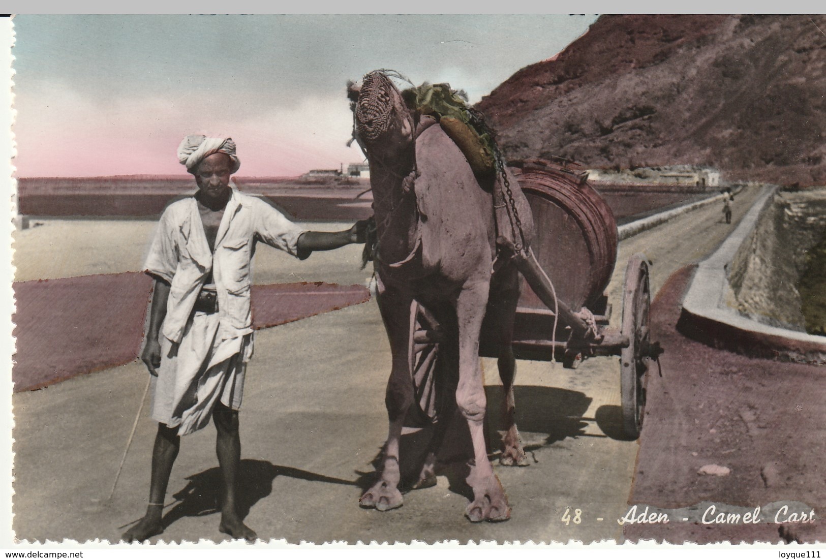 48. Aden- Camel Cart - Yémen