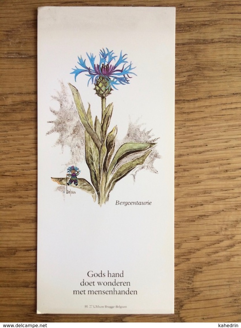 Bergcentaurie, Distel, Gods Hand Doet Wonderen - Devotieprenten