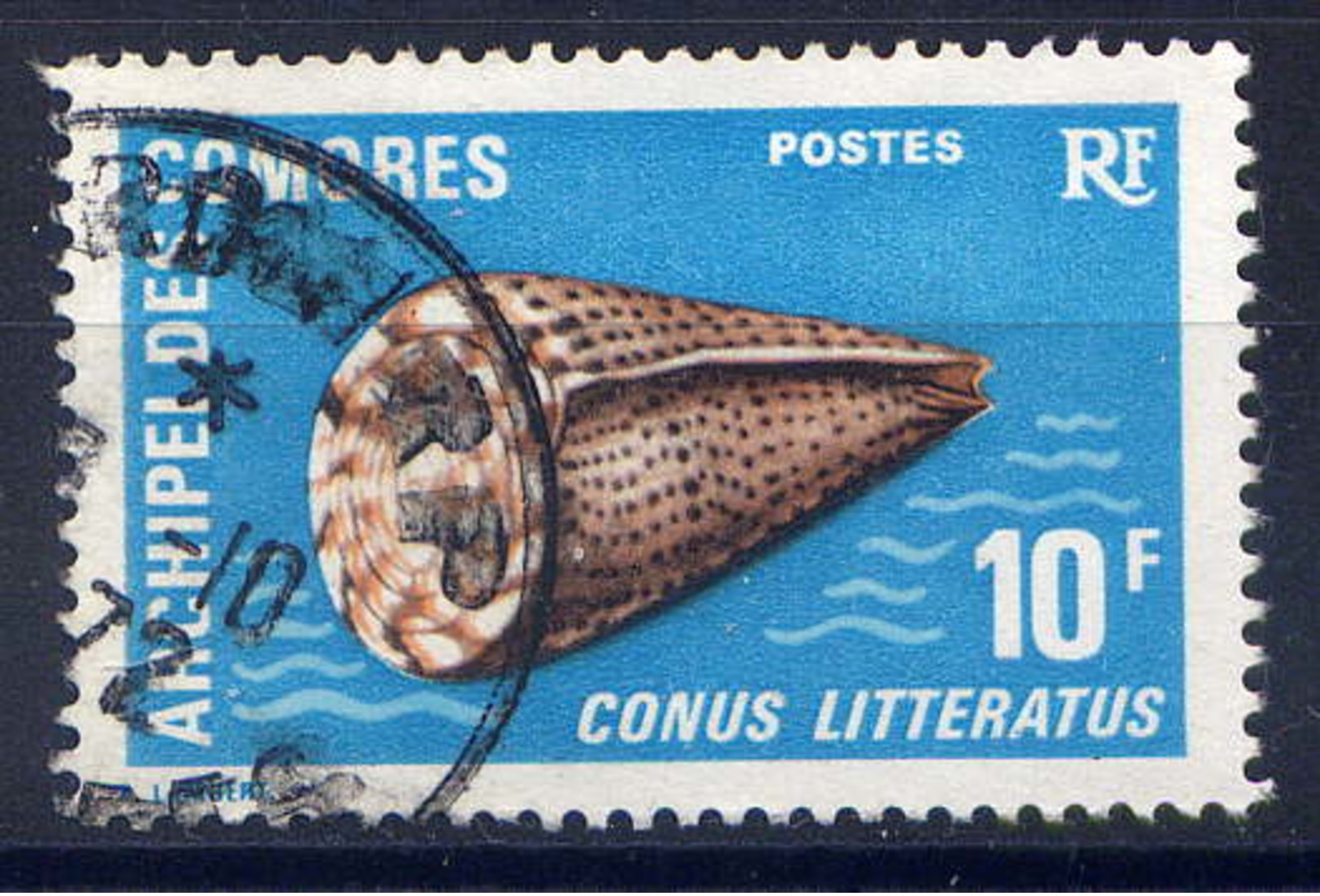 COMORES - 73° - CONUS LITTERATUS - Comores (1975-...)