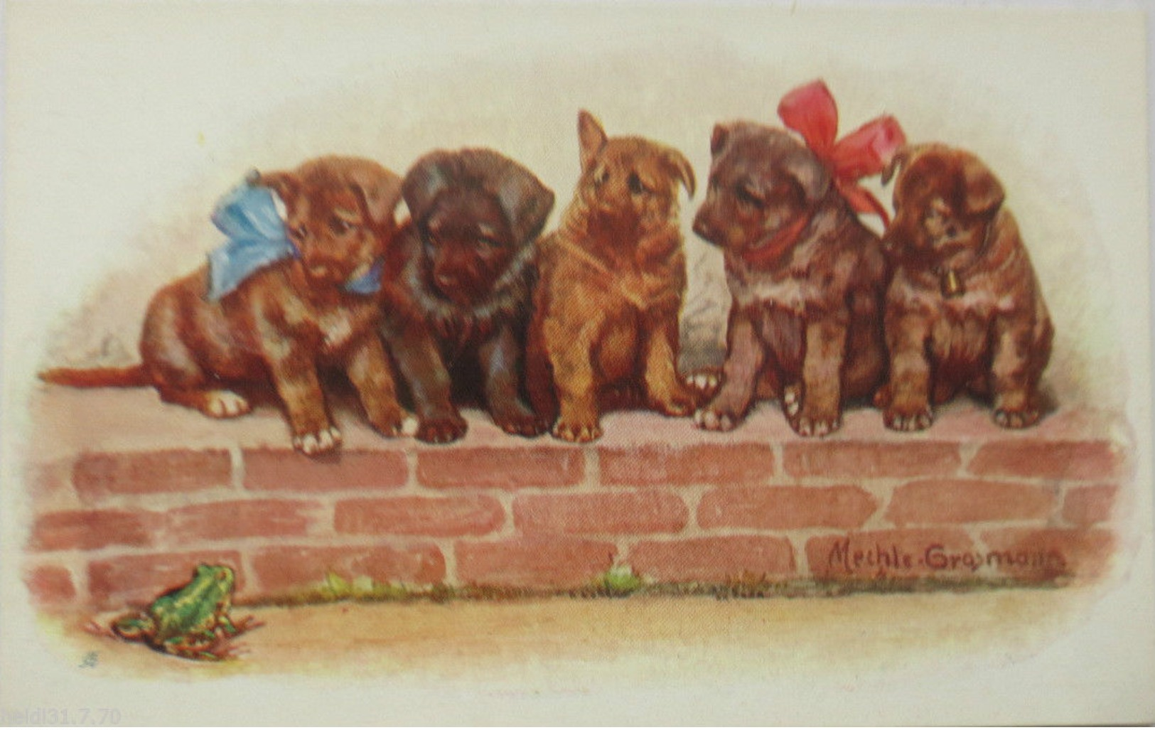 "Hunde, Mauer, Schleife, Frosch" 1910, Sig. Mechle Grosmann ♥ (11453) - Hunde