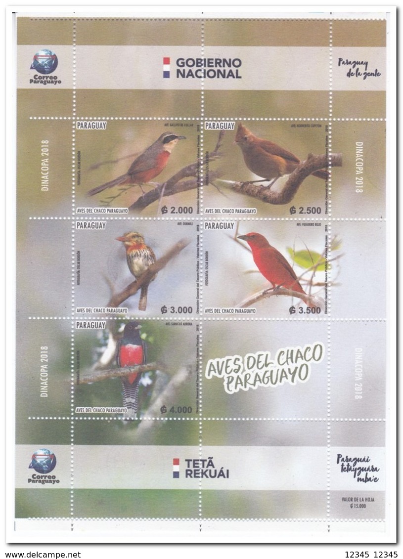 Paraguay 2018, Postfris MNH, Birds - Paraguay