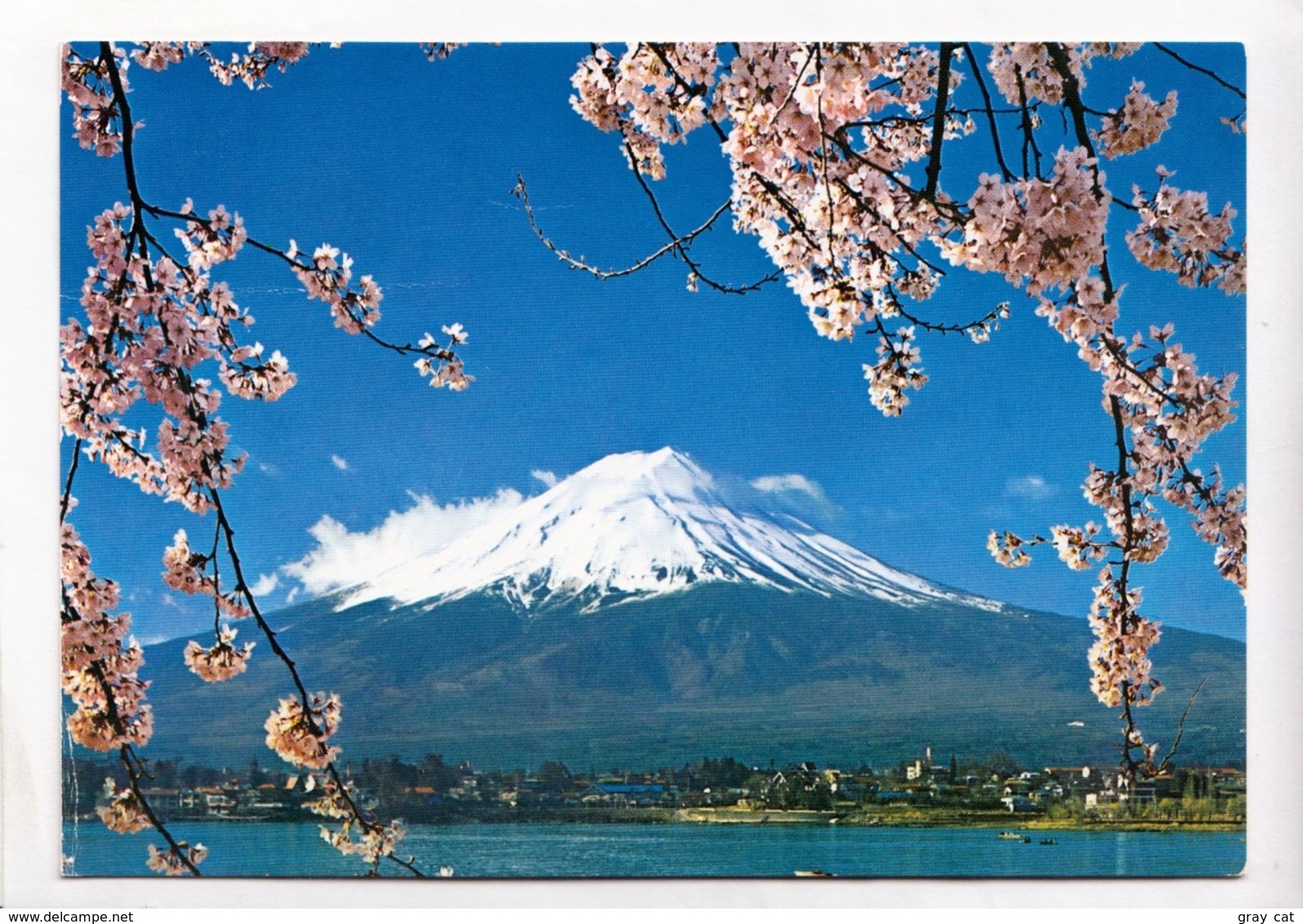 Mount Fuji And Cherry Blossoms, Japan, View From Kawaguchi Lake, 1985 Used Postcard [23438] - Other & Unclassified