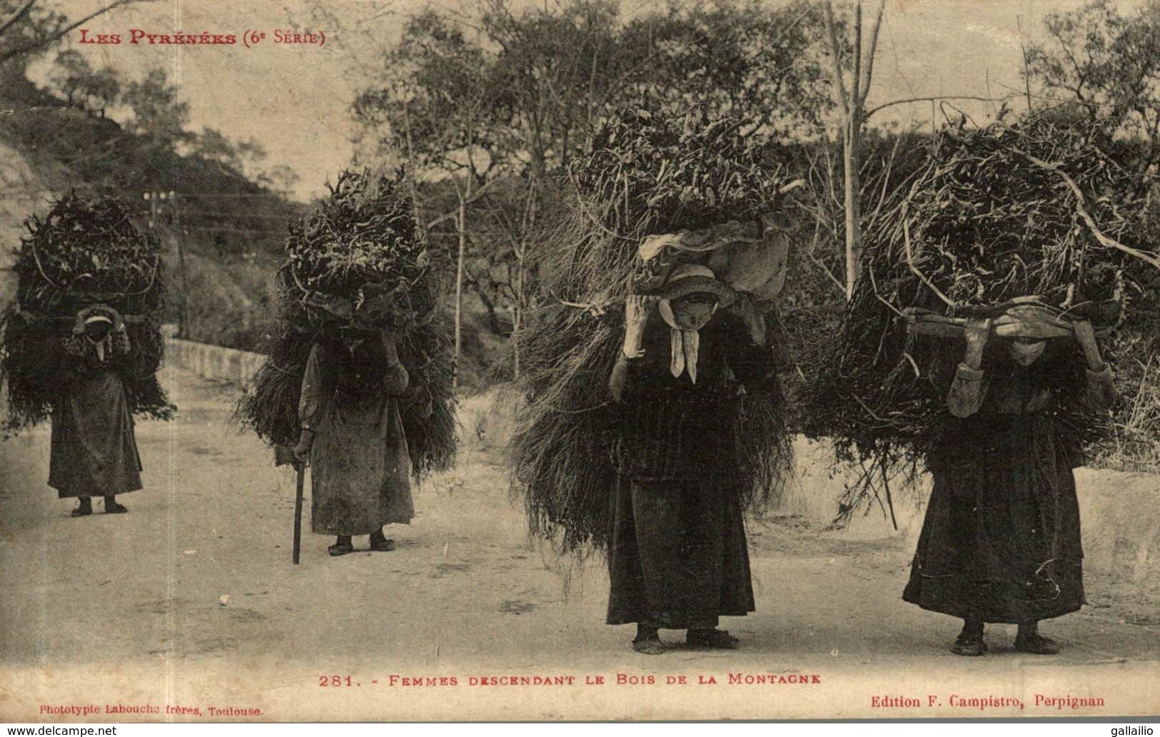 FEMMES DESCENDANT LE BOIS DE LA MONTAGNE - Autres & Non Classés