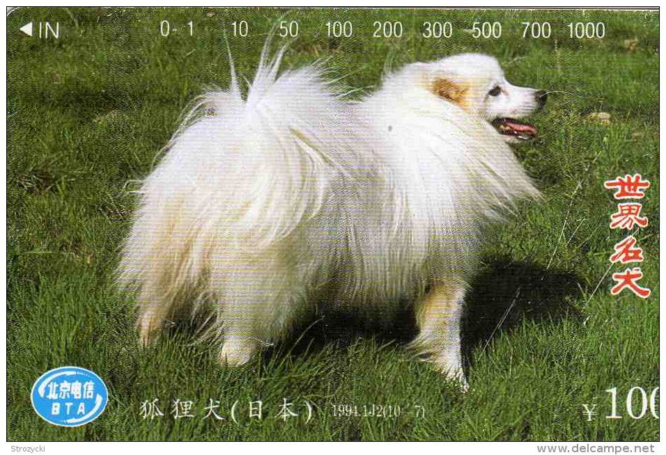 China - Dogs - World Famous Dog(10-7) - 1994.1J2(10-7) - Chine
