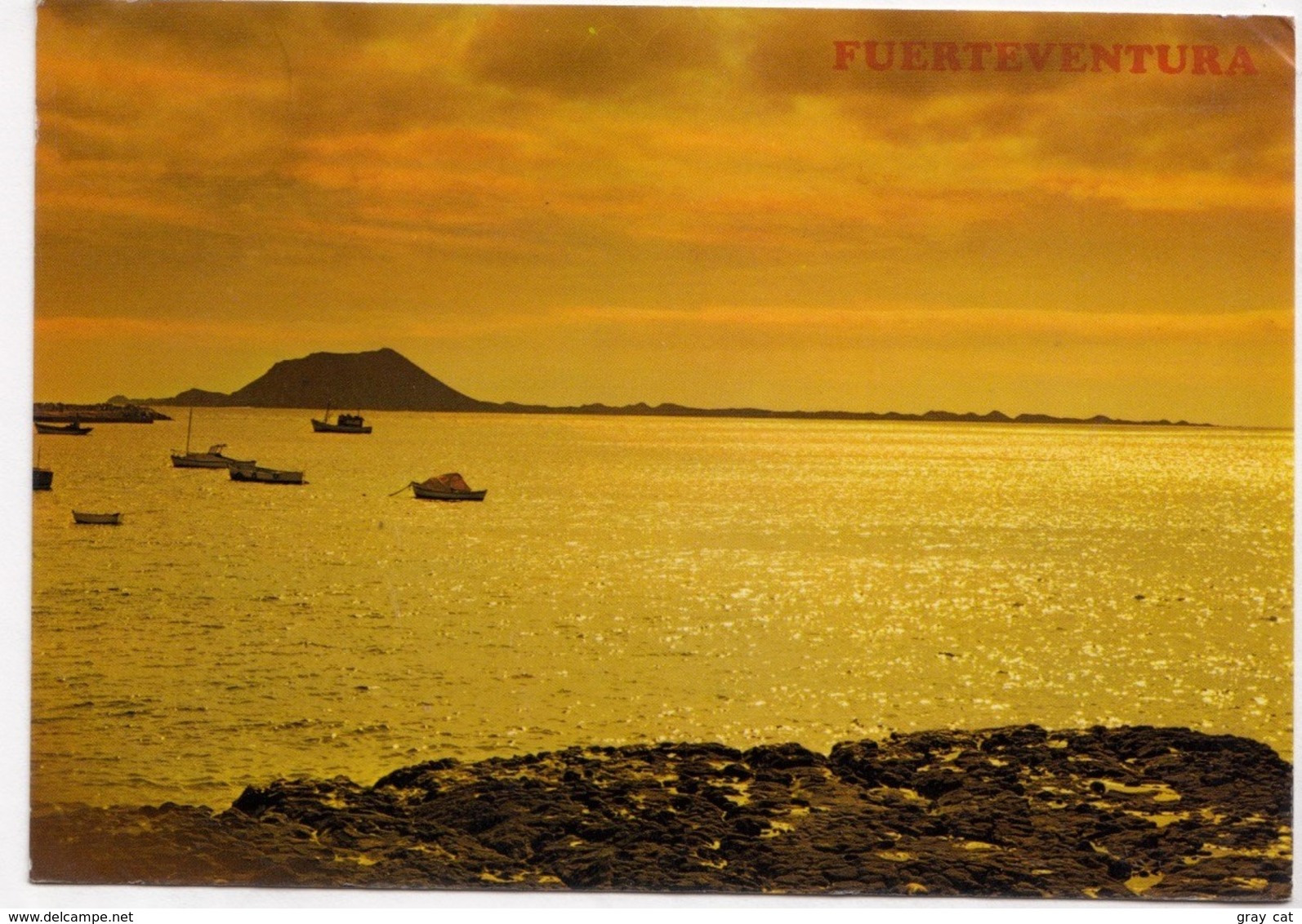 FUERTEVENTURA , ISLA DE LOBOS, Spain, 1983 Used Postcard [23449] - Fuerteventura